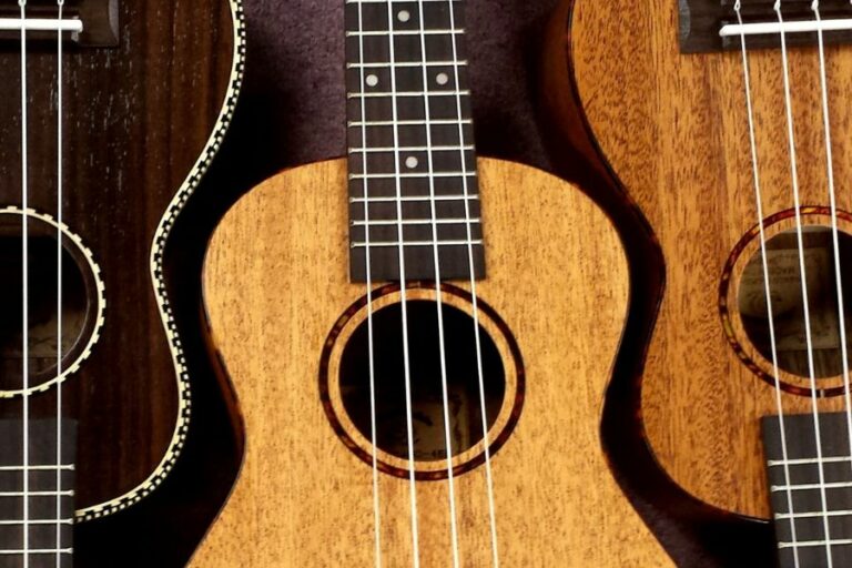 melhores marcas de ukulele